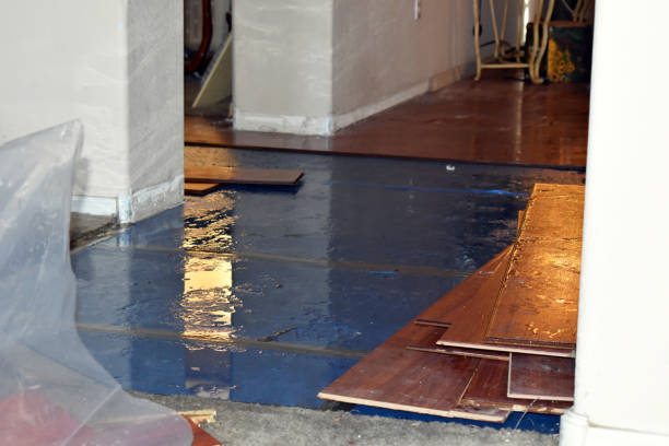 Professional Water Damage Restoration technician working in Drake, CO